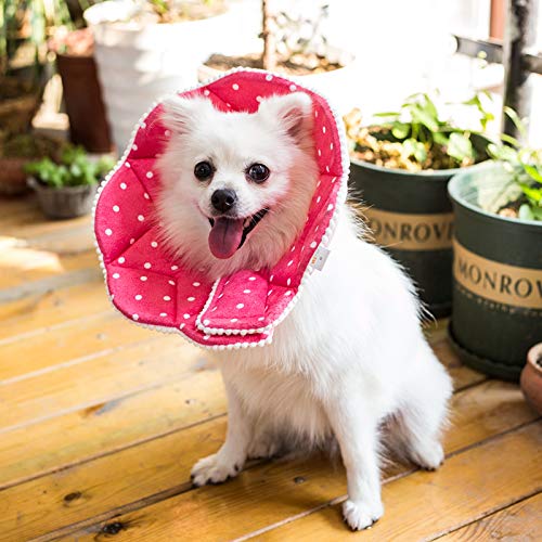 Adjustable Dog Cat Cone (Medium / Pink)