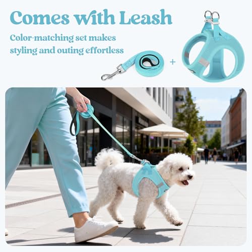Dog Harness Medium Sized and Leash Set (Mint Blue / Xl (chest: 20 - 21.8"))