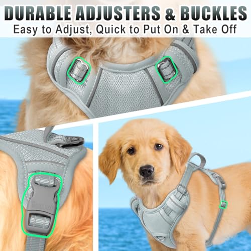 Dog Harness for Small Sized Dog No Pull Dog Vest ID Tag Pocket (Grey / Small)