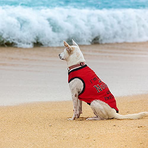 8 Pcs Dog T Shirts Printed Funny (Small)