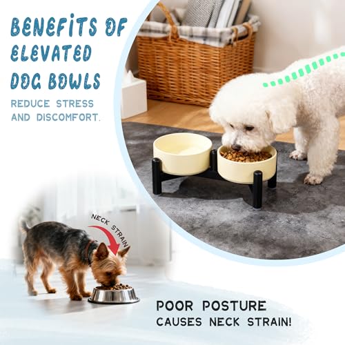 Elevated Ceramic Dog Bowl Set (Green / 1.4 Cups)