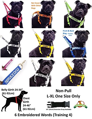 Limited Nervous Yellow Color Coded 2 4 6 Foot Padded Dog Leash