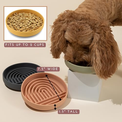Slow Feeder Dog Bowl (Tan - Rainbow Design / Medium (7.5” Across x 1.5” Tall))