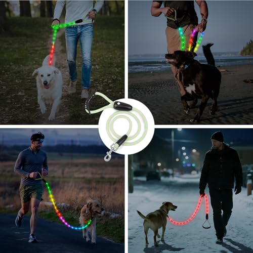 Light Up Dog Leash (5 Ft / RGB)