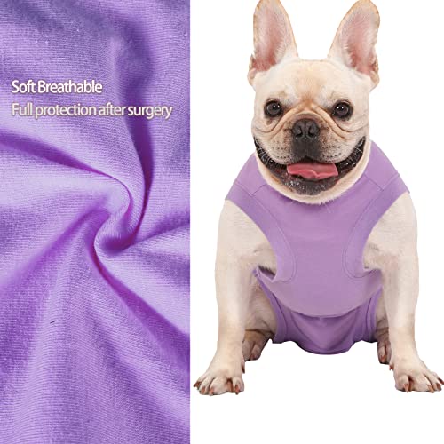 Dog Surgery Recovery Suit (S(Back9 - 12" Chest14 - 17" Weight 8.5 - 15lb) / Purple)