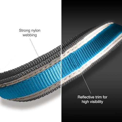 Quantum 6 in 1 Dog Leash (Blue)