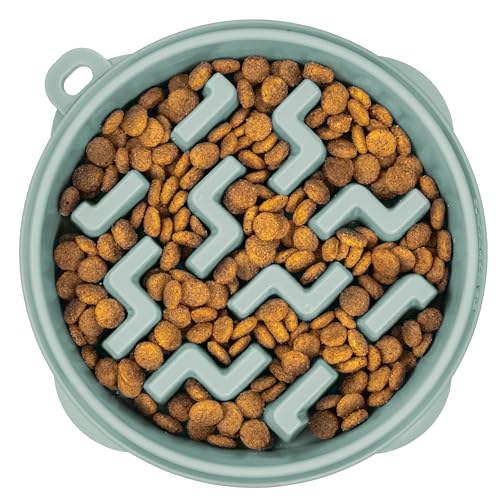 Fun Feeder Slo Bowl Dog Slow Feeder (Sage / Medium)