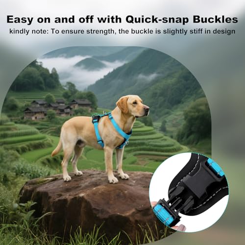 No Pull Dog Harness with Leather Accents (L / Light Blue)