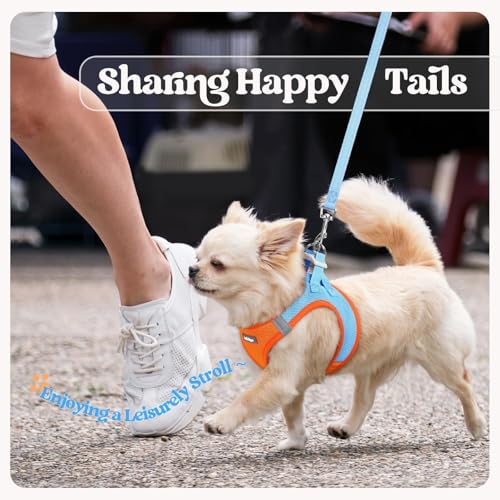 Dog Harness Medium Sized and Leash Set (Blue & Orange / L (chest: 18.2 - 20.5"))