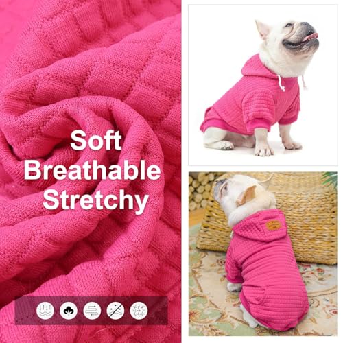Dog Hoodies Sweater for Small Dogs (Rose Pink / S (Back: 12",Chest: 16", Neck: 10"))