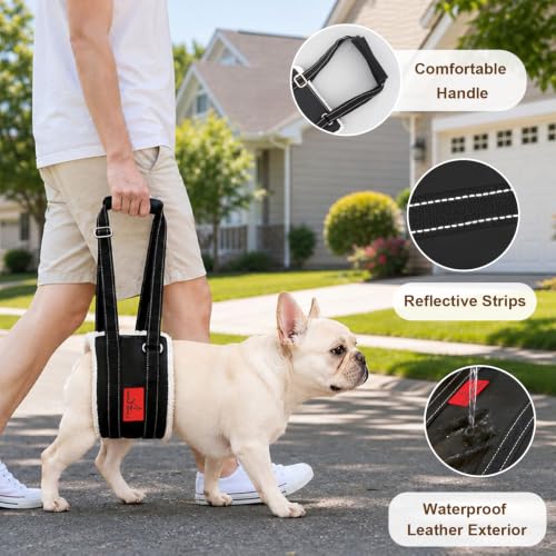 Dog Lift Harness (XS)