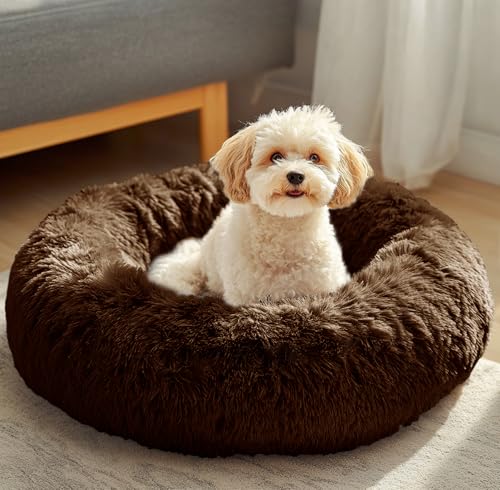 Dog & Cat Bed (20" / Coffee)