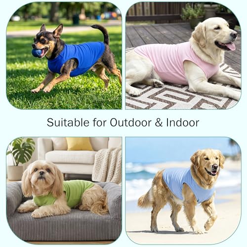 6 Pack Solid Color Dog Shirt Blank Pet Sleeveless Clothes Soft Puppy Cat T (XX-Large)