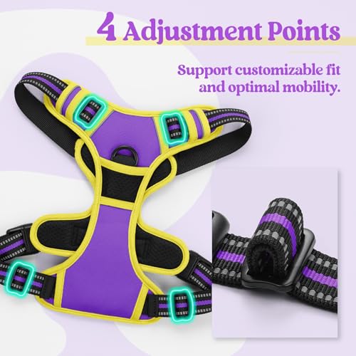 Dog Harness No Pull with 2 Leash Clips (Large / Purple & Yellow)
