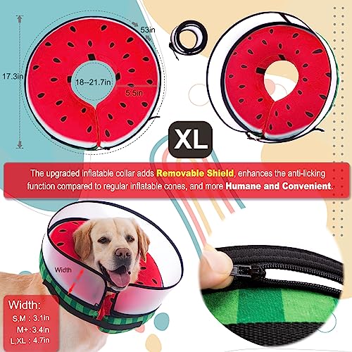 Inflatable Dog Cone Collar with Enhanced Anti (X-Large / Watermelon)