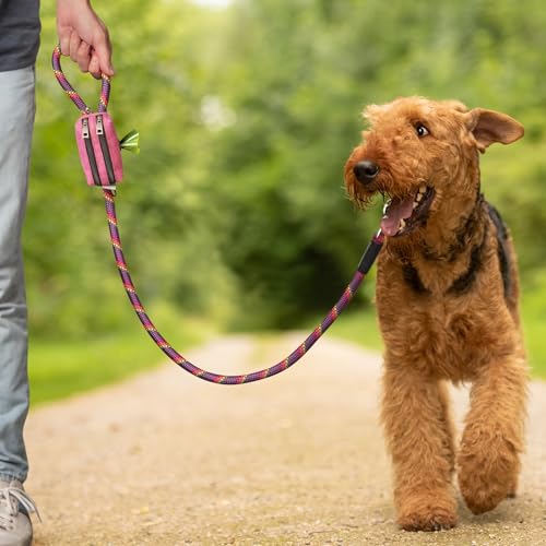Dog Poop Bag Holder for Leashes and Treat Holder with 2 Waterproof Pouches (Pink)
