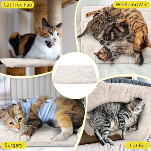 3 Pack Self Warming Cat Bed Mat Self Heating Dog Pad Reflects Body Warm Thermal Pet Pad Washable Non Slip Crate Kennel Bed Mat for Indoor Outdoor (Cream)