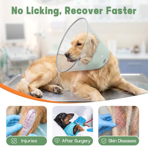 Dog Cone Collar with Soft Liner to Stop Licking (Green / M(Depth: 8.5, Girth: 11.5-14.5 ))