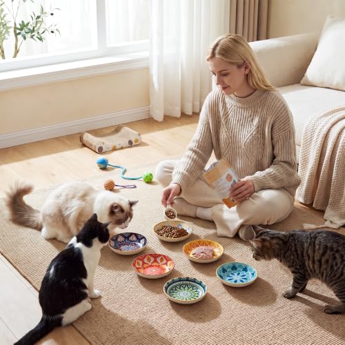 Ceramic Cat Bowls Set of 6 (Floral - No Pads)