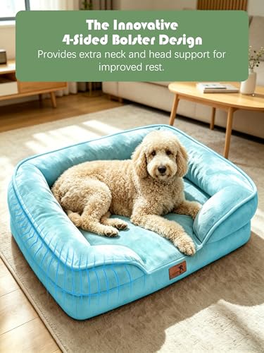 Orthopedic Dog Bed with Sides (42.0"L x 32.0"W x 6.5"Th / Ice Blue)