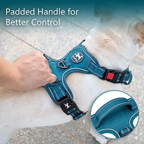 No Pull Dog Harness (S / Tumalo Teal)