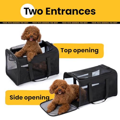 Dog Carrier Bag (20.0"L x 12.6"W x 1.4"H / Black)
