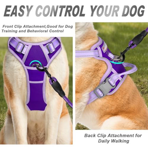 Dog Harness No Pull for Medium Sized Dog Front Back Clips (Medium(Chest:22.5-28") / Violet Purple & Purple)