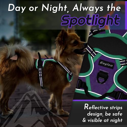 Dog Harness for Small Dogs (X-Small / Purple & Turquoise)