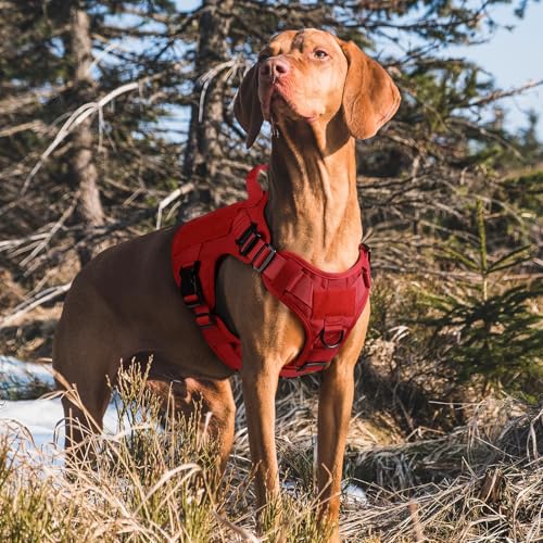 Tactical Dog Harness for Medium (Red / Medium)