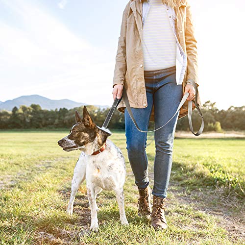 5FT 1IN Heavy Duty Dog Leash for Large Dogs with 2 Padded Handles (Grey / 1 in x 5 ft)