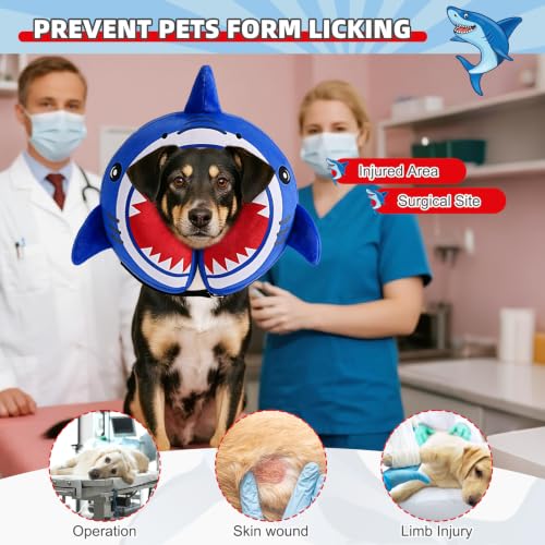 Inflatable Dog Cone Collar (Blue Shark / M+ (Neck:13-15in))