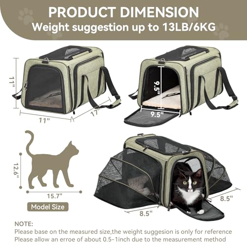 Medium Double Expandable Cat Carrier for Cats and Small Dogs (17.0"L x 11.0"W x 11.0"H / Green)