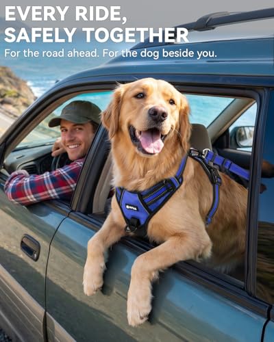 3-in-1 Bungee Dog Seat Belt for Car, Medium Large Dogs, Navy Blue (Navy Blue / (21.6-31.5) inch)
