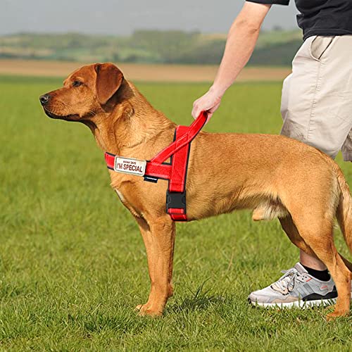 No Pull Dog Harness with Soft Padded Handle (L / Red)