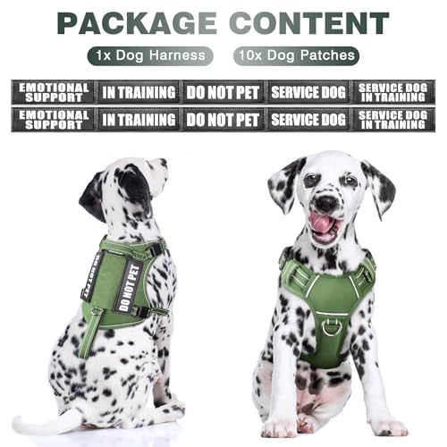 Tactical Dog Harness (Medium / Green)