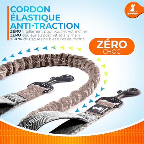 Hands Free Dog Leash (Brown / 1 dog M/L)