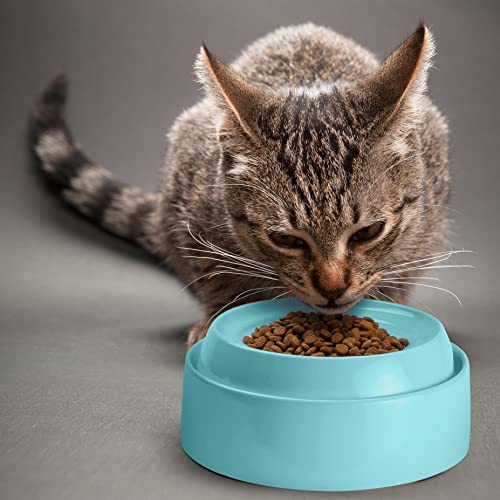 Cat Bowls Whisker Friendly Food Bowl for Indoor Cats (Dish - Set of Two / Aruba)