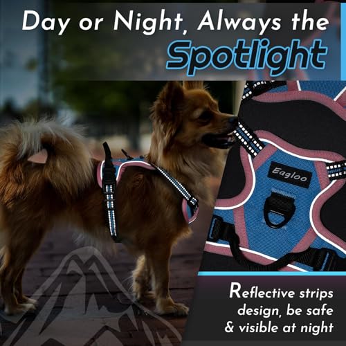 Dog Harness for Small Dogs (X-Small / Pink & Blue)