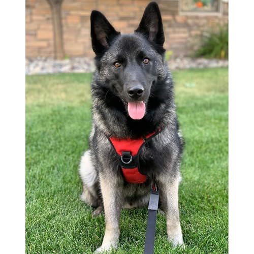 Dog Harness No Pull for Large Dogs with 2 Leash Clips (Large / Red)