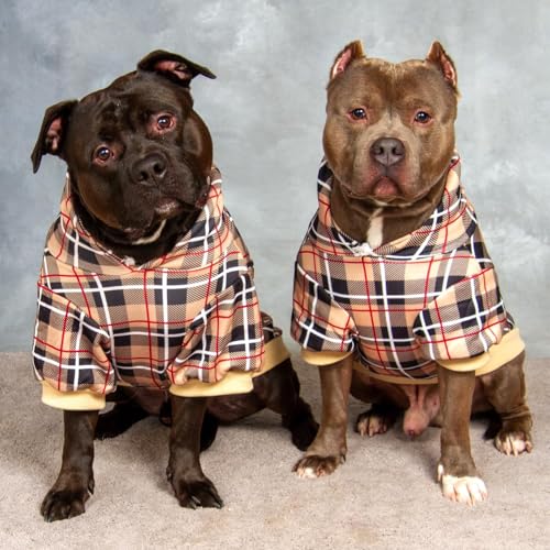 Plaid Dog Hoodie (X-Large / Beige)
