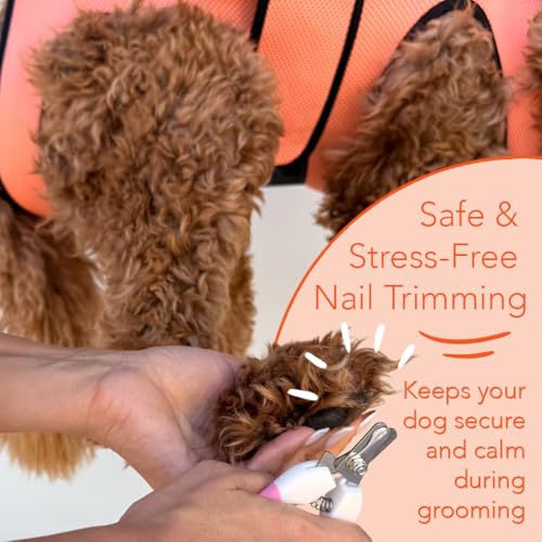 PawsUp Pet Grooming Hammock Kit for Large Dogs