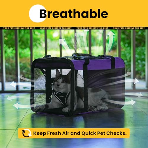 Cat Carrier Bag (M / Purple)