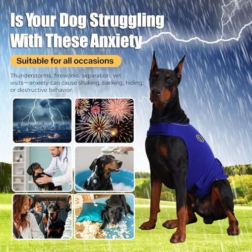Dog Anxiety Vest (XL-Chest(22"-34.6") / Blue)
