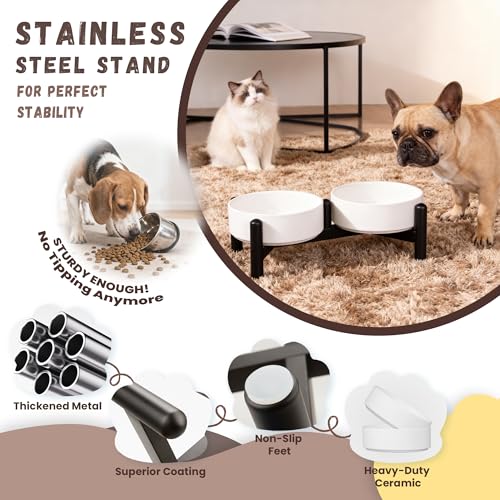 Raised Ceramic Dog Bowl Set with Stand (White / 2 Bowls - 2.1 Cups Each)