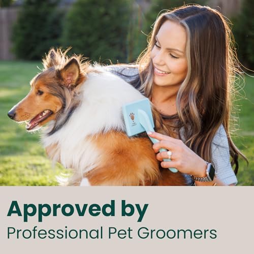 Pet Slicker Brush With Soft Massage Grooming Stainless Steel Pins (Baby Blue / Curved Small)