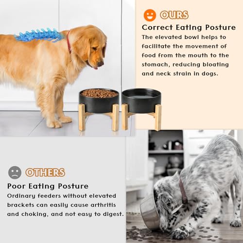 Ceramic Elevated Dog Bowls 2 Pack (Large - 7.6 CUPS*2 / Black)