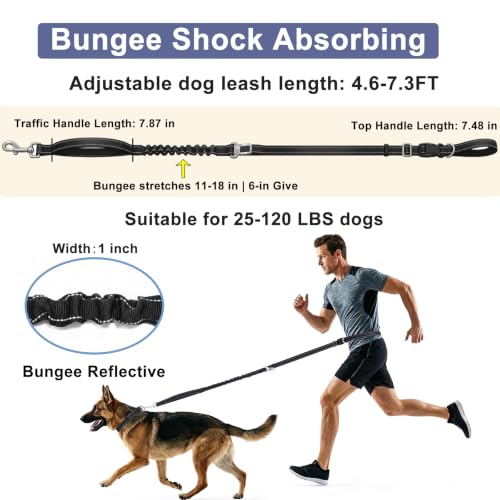 Bungee Dog Leash (Lavender / 4.6-7.3FT)