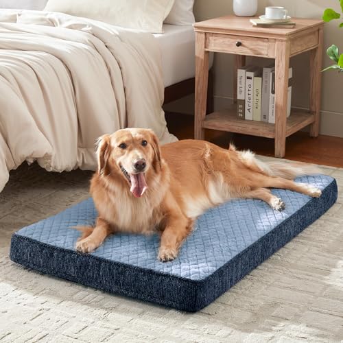 Orthopedic Dog Bed for Large Dogs (L(35"x22") / Blue)