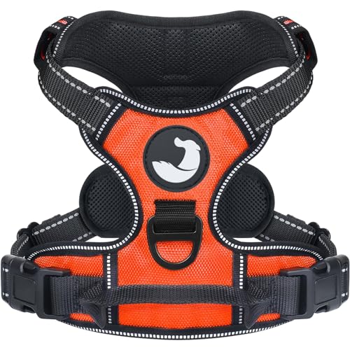 No Pull Dog Harness for Large Dogs (Large / Orange)