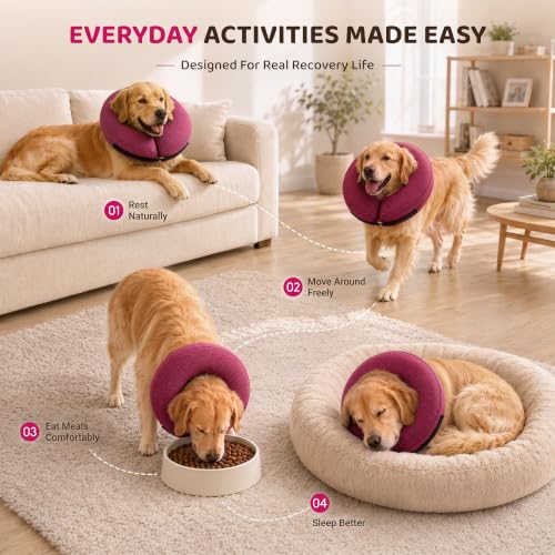 Inflatable Dog Cone (Rose / S(9"-10"))